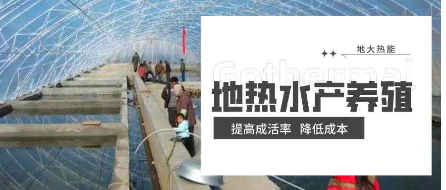 天鎮(zhèn)縣依托地?zé)豳Y源 發(fā)展水產(chǎn)養(yǎng)殖-地?zé)釡厥茵B(yǎng)殖-地大熱能 天鎮(zhèn)縣依托地?zé)豳Y源 發(fā)展水產(chǎn)養(yǎng)殖-地?zé)釡厥茵B(yǎng)殖-地大熱能